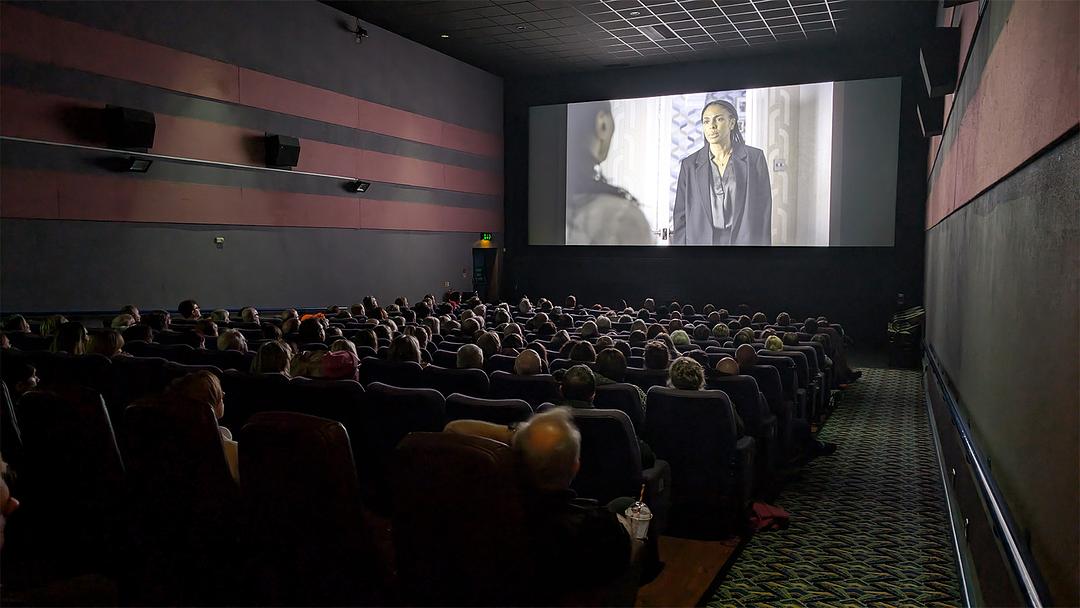 Photograph from The Bay International Film Festival shows an audience sitting in a dark movie theatre, watching a film on a large screen.