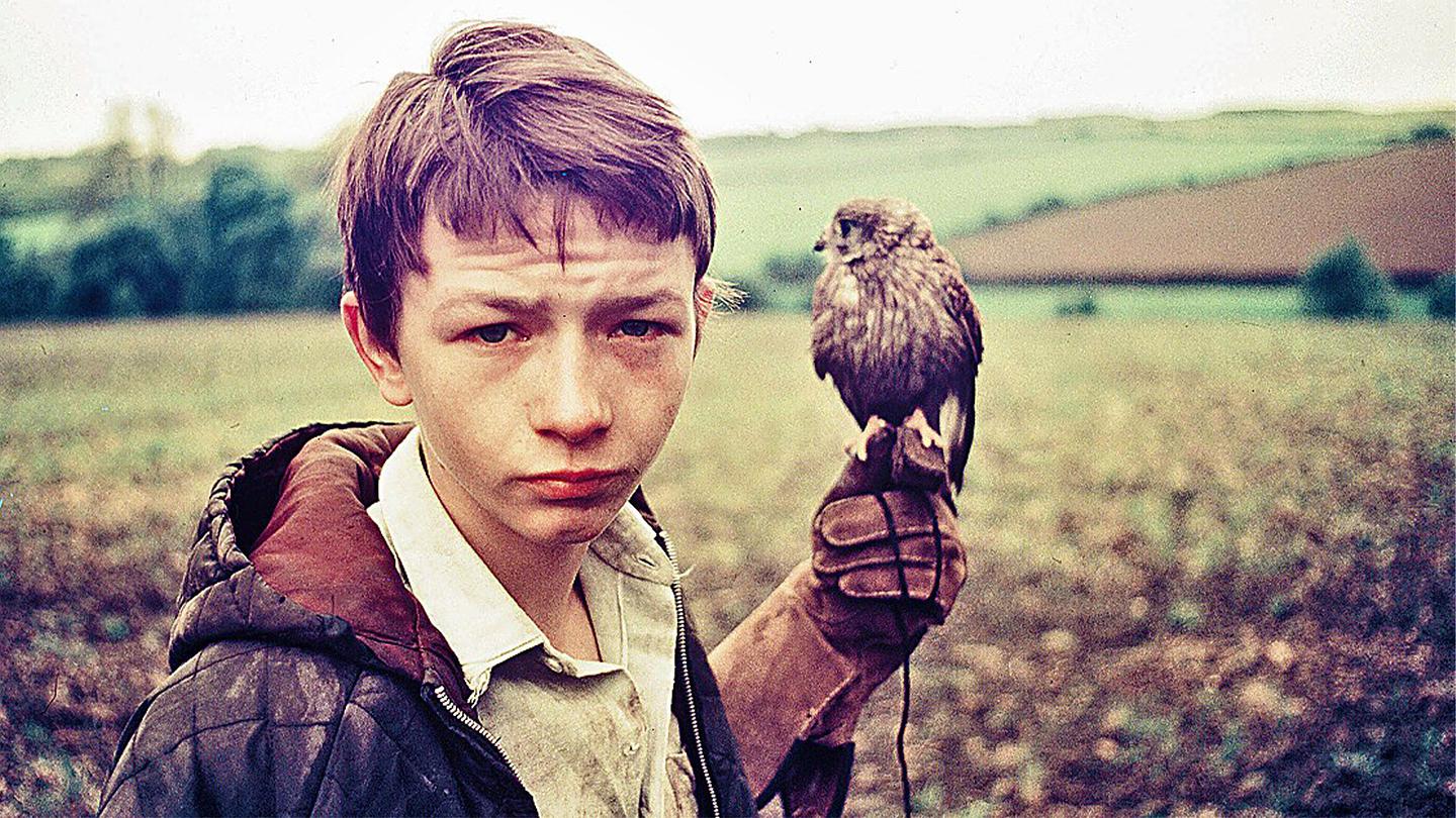 Still from Kes (1969) shows a young boy holding a kestrel on his gloved hand, in a rural landscape.