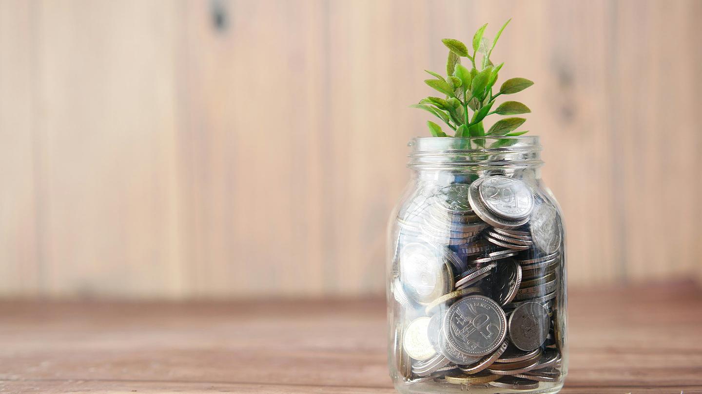 A glass jar filled with coins, with small plant seedling coming out of top.