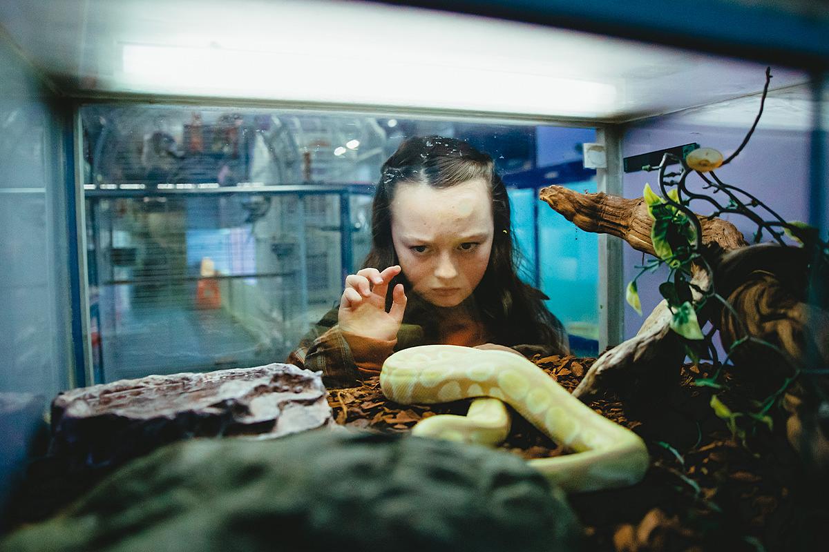 Tegan taps on the glass of a snake tank in a scene from PREDATORS